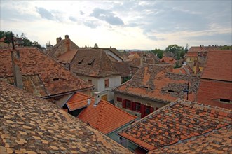 Tiled roofs of historic buildings