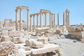 Ruins of the ancient city Palmyra