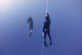 Freedivers wearing swimfins