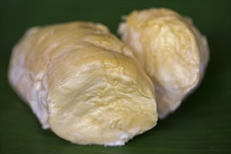 Flesh of the durian fruit