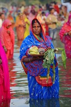 Woman wearing a blue sari with offerings standing in water during the Hindu Chhath Festival