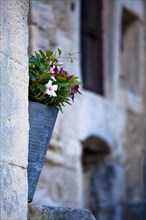 Pot flowers outside a house