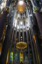 Ceiling of the Sagrada Família