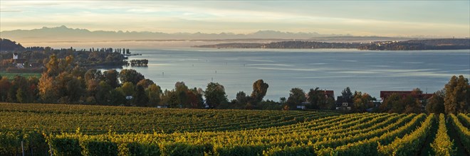 Lake Constance with an Alpine panorama at sunrise