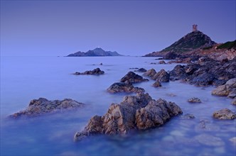 The genoese tower Tour de la Parata at the right and the islands Les Iles Sanguinaires behind the rocky mediterranean coast at the blue hour before sunrise. Les Iles Sanguinaires are in the department...