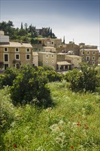 Village and a flower meadow