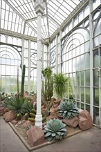 Greenhouse with cacti