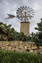 Small traditional windmill