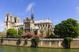 Notre Dame Cathedral