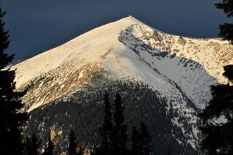 Schneeberg mountain