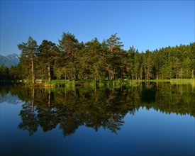Conifer forest reflected in lake Möserer See