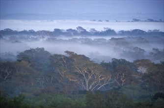 River landscape in the southern Kruger National Park