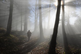 Female hiker hiking in foggy forest at the Saloberalpe
