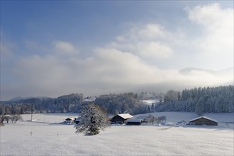 Loisachtal valley in winter