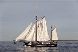 Sailing vessel Albin Koebis at the Hanse Sail 2013