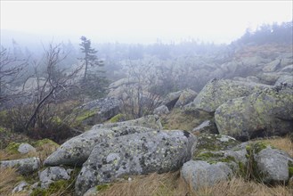 Rocks on Mt Brocken