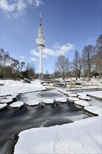 Frozen ponds in "Planten un Blomen" park