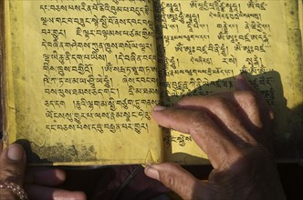 Tibetean monk reading the holy scriptures in Tibetan language