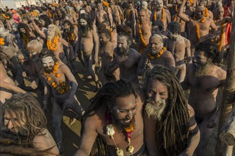 Crowds of naked Naga sadhus