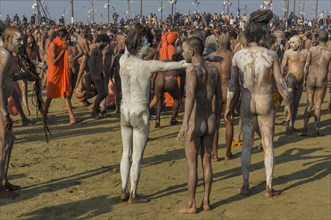 Naked Naga sadhus