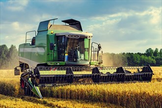 Combine harvester during the harvest of a cornfield