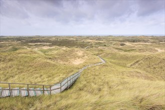 Dune landscape