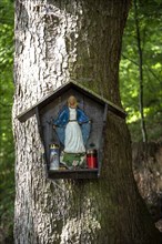 Marian shrine in a forest near Hoeglwoerther See Lake