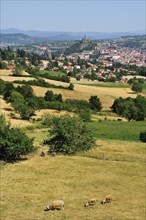 The town of Le Puy-en-Velay
