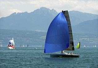 Sailboat of the Luthi 870 type with spinnaker headsail on Lake Geneva near Morges