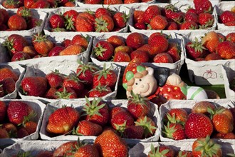 Strawberries at a market stall
