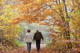 Senior couple strolling through a beech forest in autumn