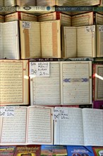 Bilingual Quran