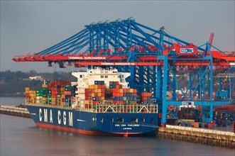 Container ship "Thalassai" docked at Burchardkai quay