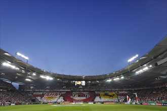 Fan action during the DFB semi-final