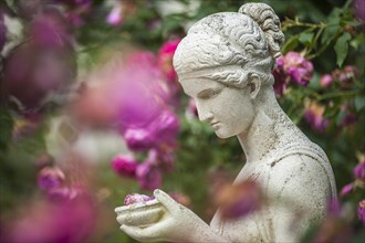 Nymph in the Rose Garden