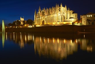 Palma Cathedral at night