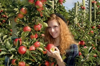 Young woman standing next to an apple tree holding an apple