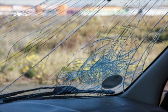 Cracked windshield of a vehicle after a traffic accident