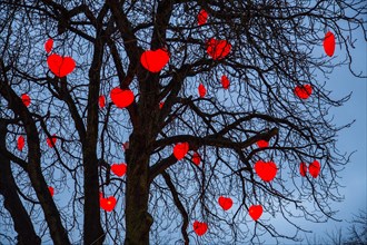 Tree with illuminated red hearts