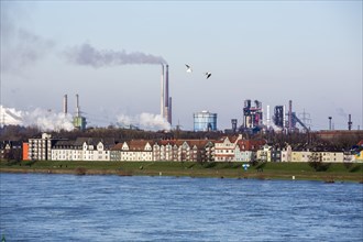 Rhine at Duisburg-Laar with houses behind the dyke