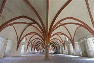 The Gothic cross-ribbed vault in the dormitory of Eberbach Abbey