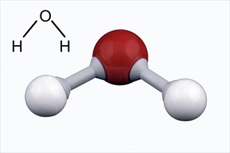 Water molecule model