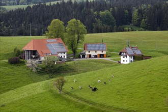 Old farm with outbuildings