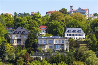 Villa district of Loschwitz on the slopes of the Dresden Elbe Valley