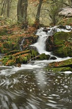 Waterfall in the Selke River in autumn