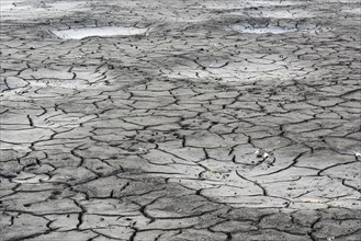 Cracked bed of a drained carp pond in autumn