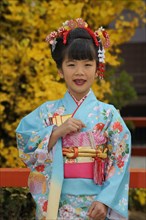 Japanese girl dressed festively for the Shichi-go-san Festival in Shimogamo Shrine