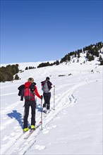 Cross country skiers during the ascent to Rittnerhorn Mountain