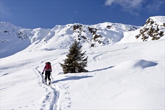 Cross-country skier ascending Wurzer Alpenspitz Mountain in the Ridnauntal Valley
