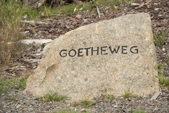 Goetheweg trail marker on the way to Brocken Mountain